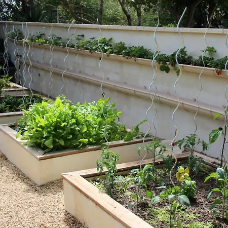 Esprit Du Sud Saint-Vincent-de-Barbeyrargues