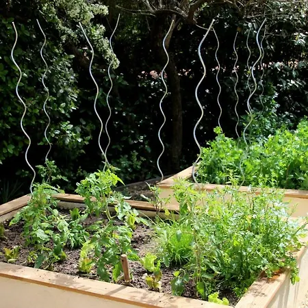 Esprit Du Sud ベッド・アンド・ブレックファスト